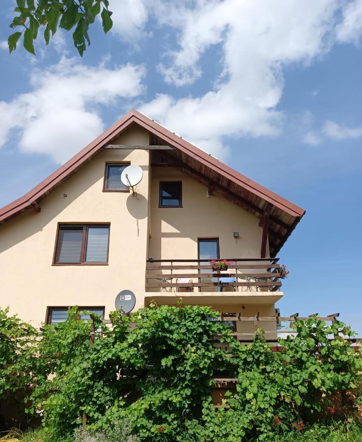 Wynajem Pokoi Wiki Appartement Mikołajki Buitenkant foto